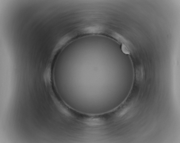 X0000114100581200910051447