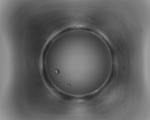 X0000114100582200910051447