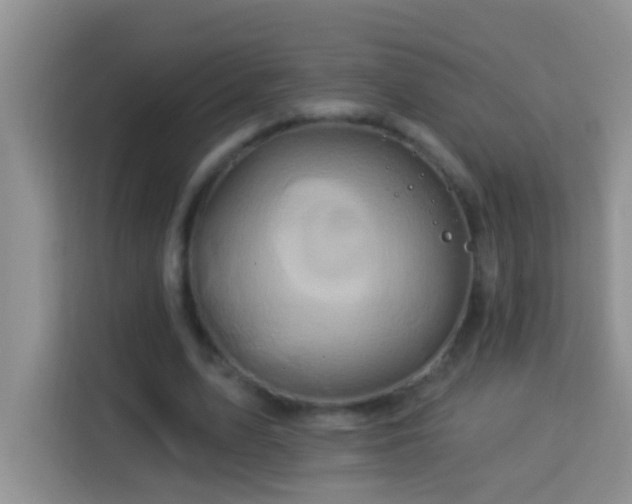 X0000114100583200910051447