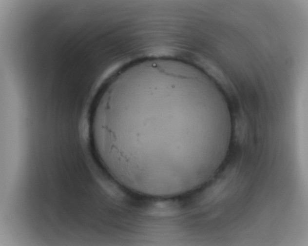 X0000114100584200910051447