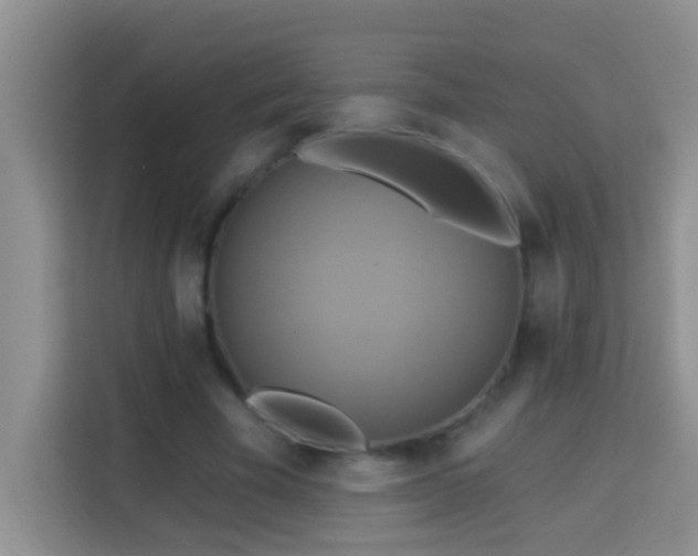 X0000114100585200910051447