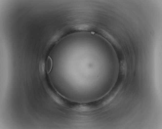 X0000114100589200910051447