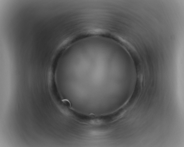 X0000114100591200910051447