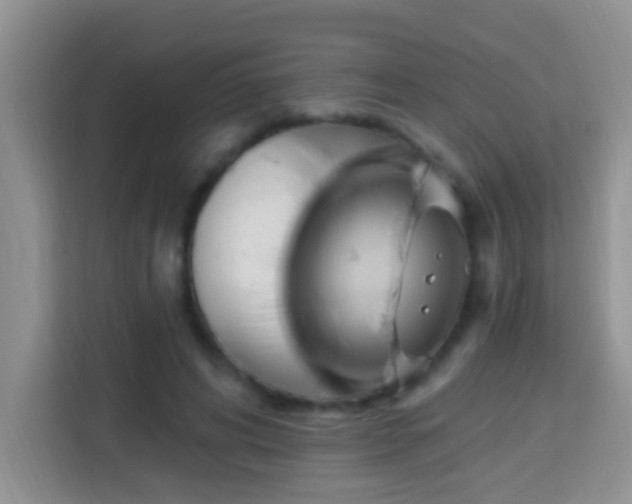 X0000114100592200910051447