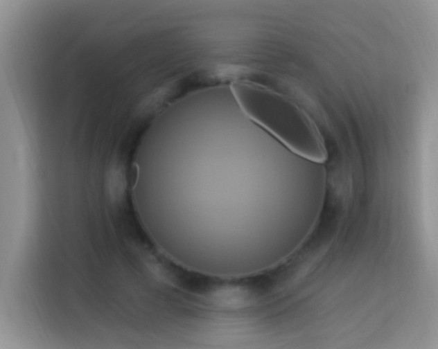 X0000114100593200910051447