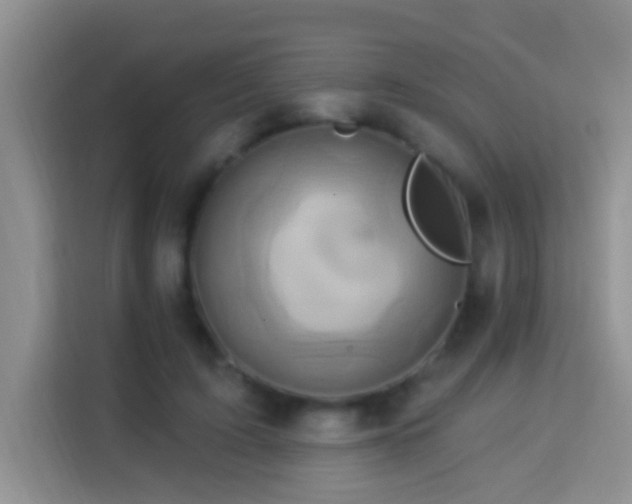 X0000114100595200910051446