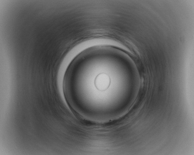 X0000114100597200910051446