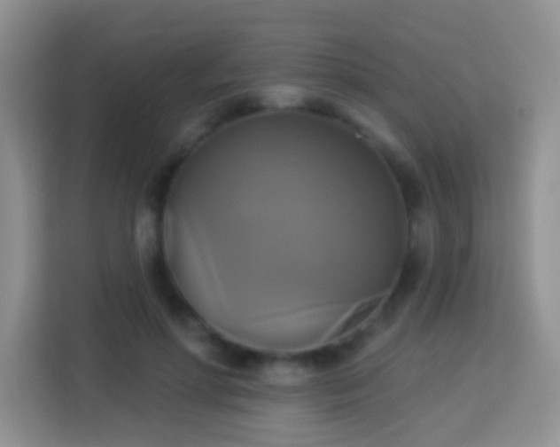 X0000114100598200910051446