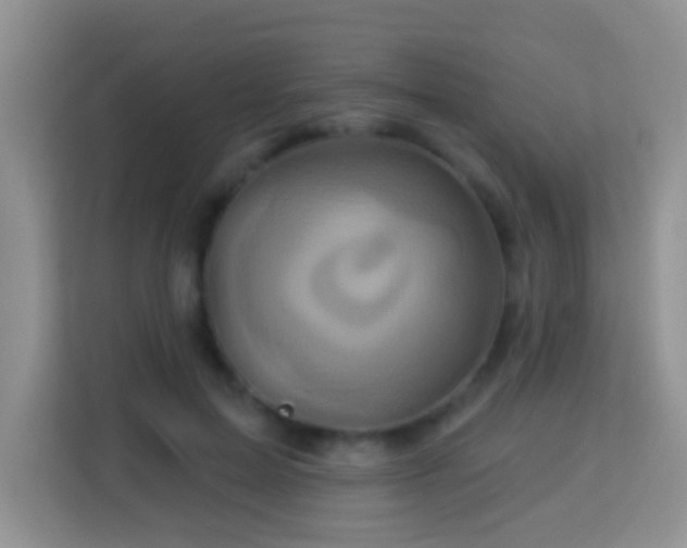 X0000114100599200910051446