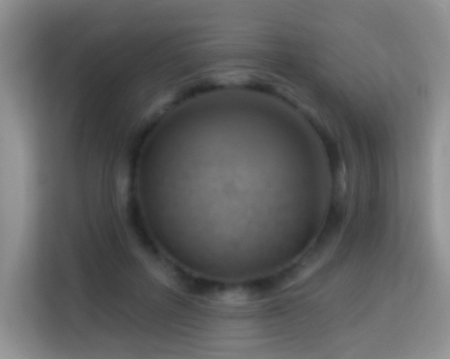 X0000114100600200910051446