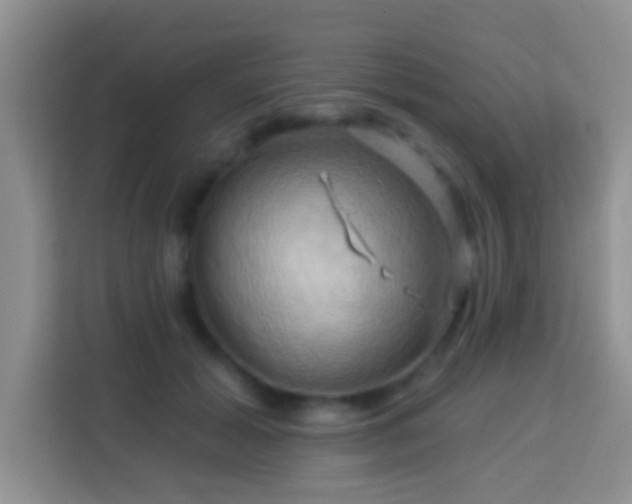 X0000114100605200910051446