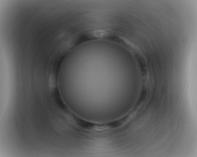 X0000114100606200910051446