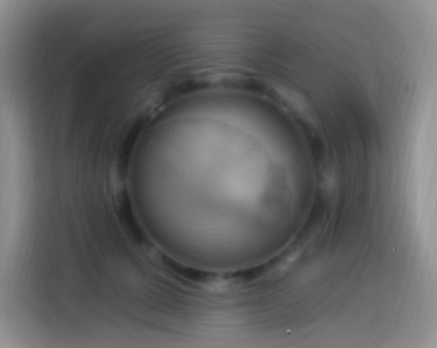 X0000114100607200910051446