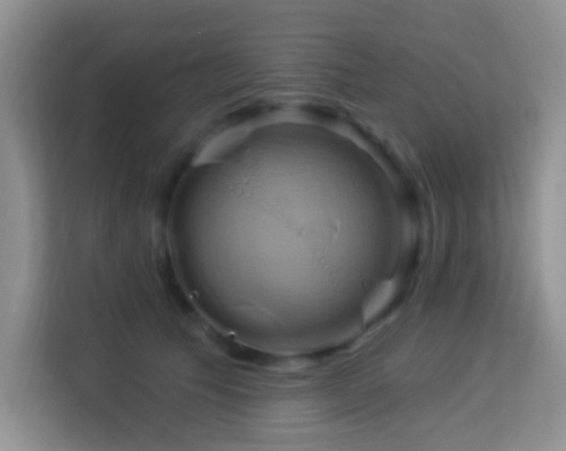 X0000114100609200910051446