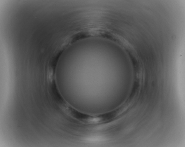 X0000114100610200910051446