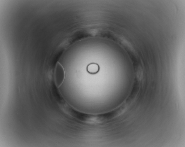 X0000114100611200910051446