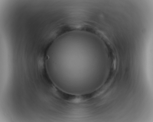 X0000114100612200910051446