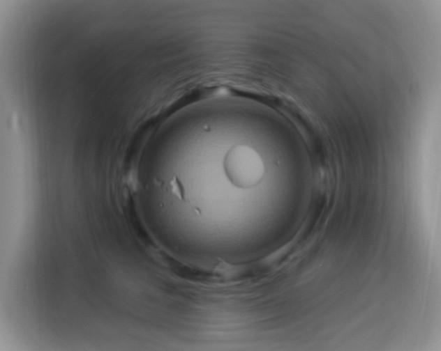 X0000114100613200910051446