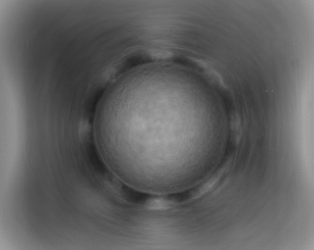 X0000114100614200910051446