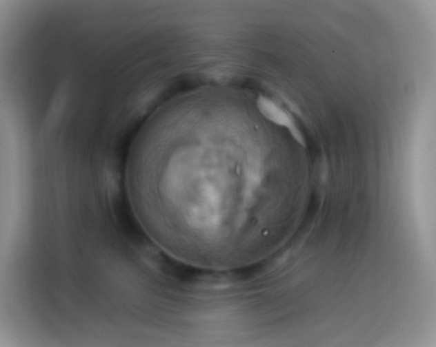 X0000114100615200910051446