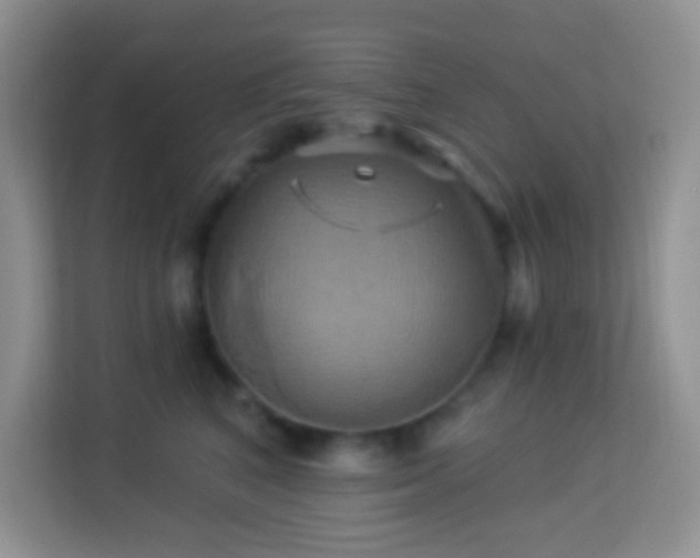 X0000114100616200910051446