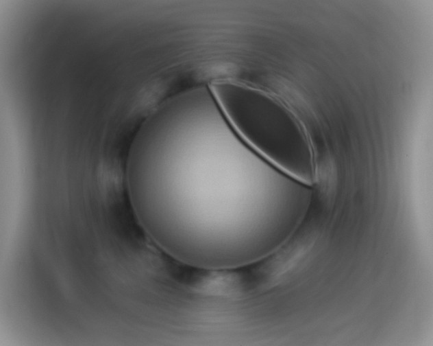 X0000114100617200910051446