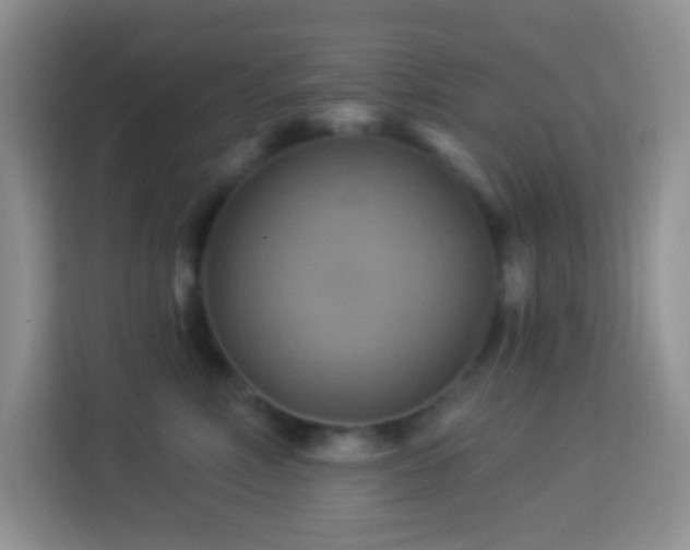 X0000114100618200910051446