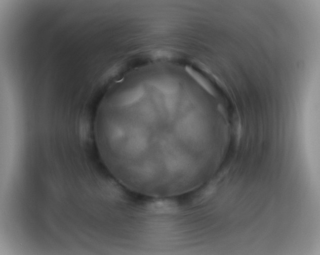 X0000114100619200910051446