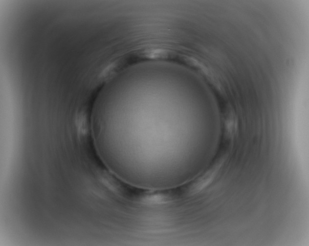 X0000114100620200910051446