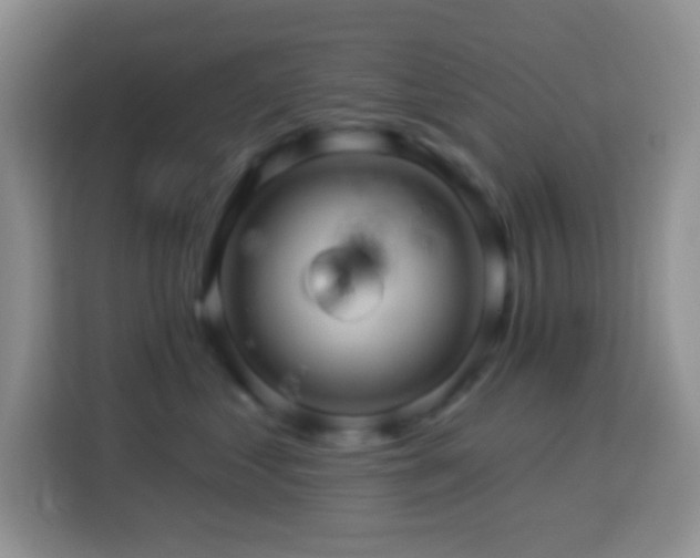 X0000114100621200910051446