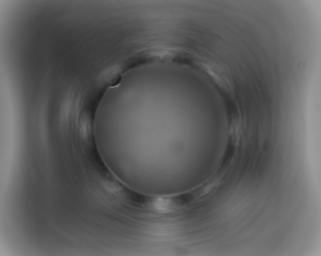 X0000114100623200910051446