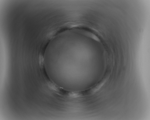 X0000114100624200910051446