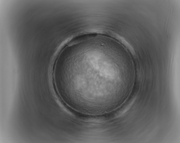 X0000114100625200910051445