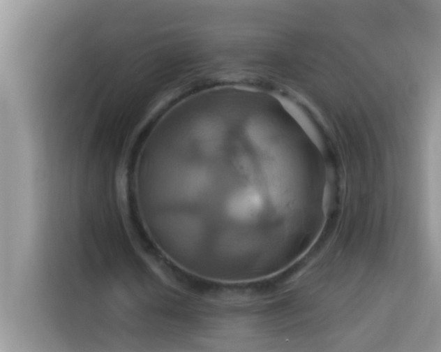 X0000114100626200910051446