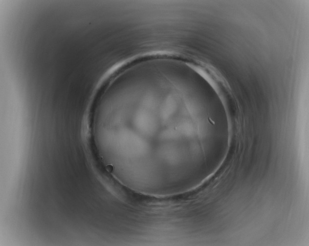 X0000114100628200910051446