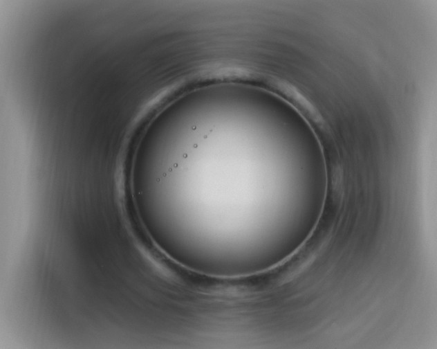 X0000114100629200910051446