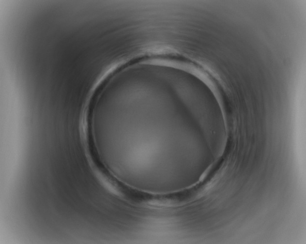 X0000114100630200910051446