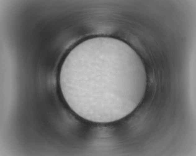 X0000114100632200910051446