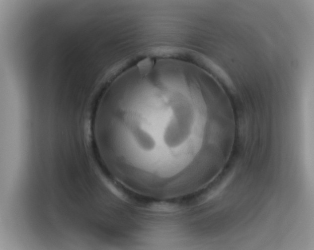 X0000114100633200910051446