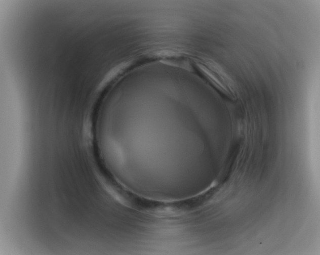 X0000114100634200910051446