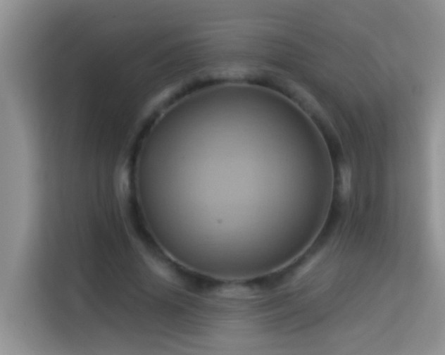 X0000114100636200910051446