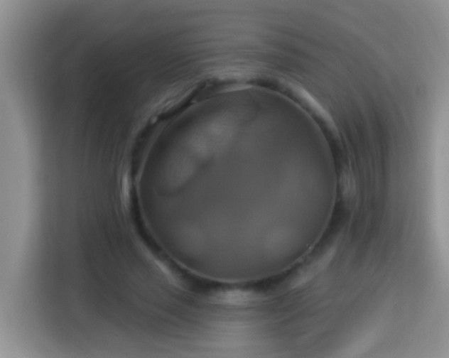 X0000114100637200910051446