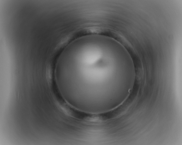 X0000114100639200910051446