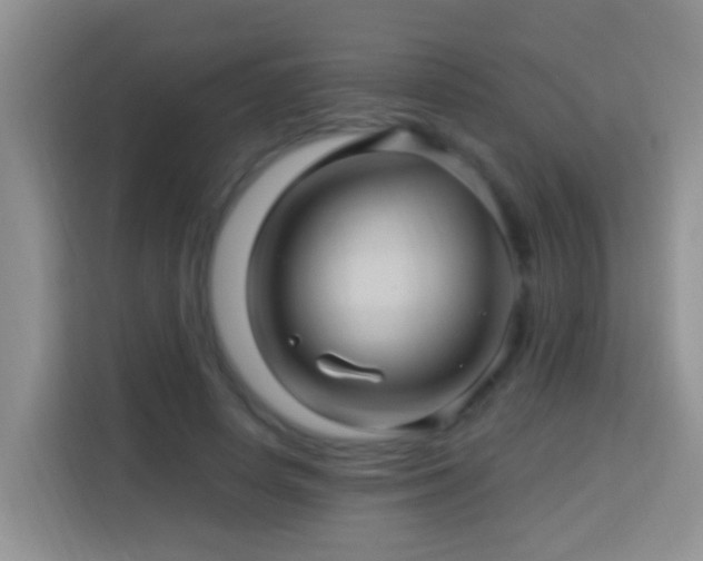 X0000114100642200910051446