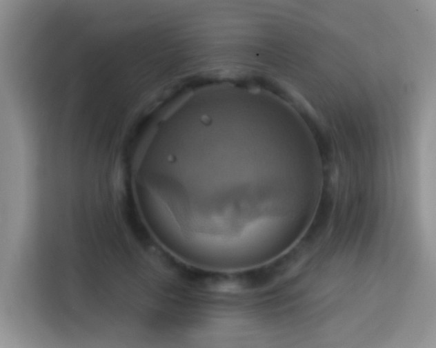 X0000114100643200910051446