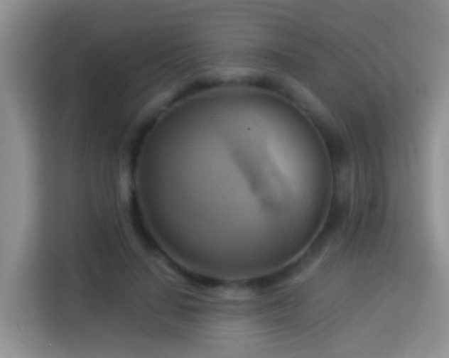 X0000114100644200910051446