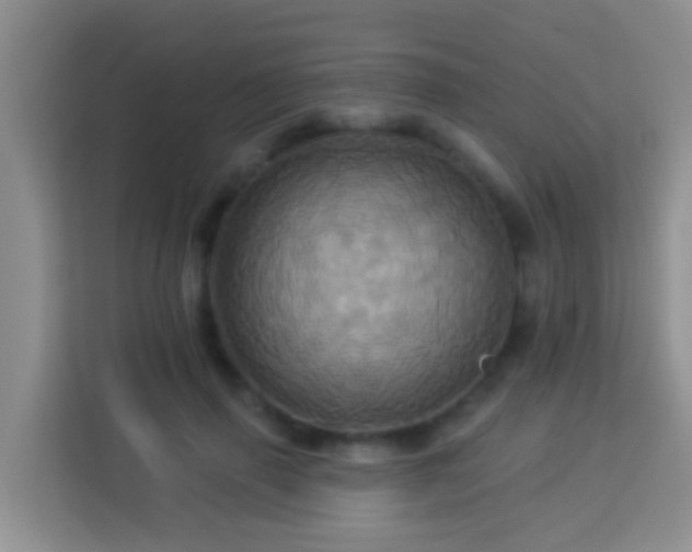 X0000114100645200910051446