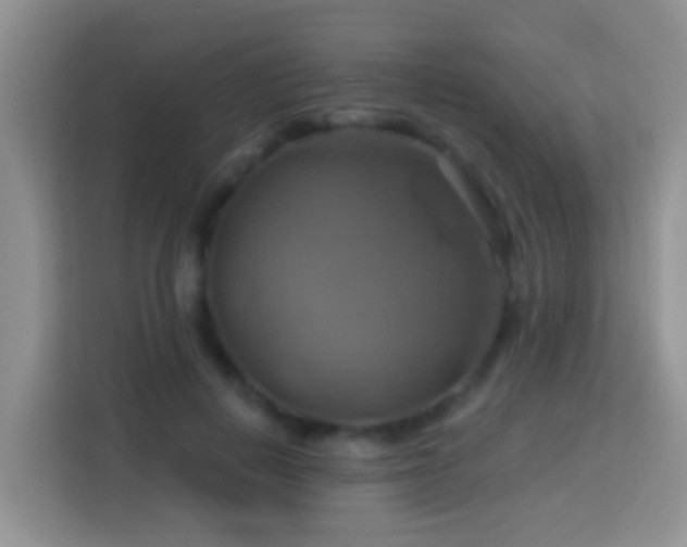 X0000114100648200910051446