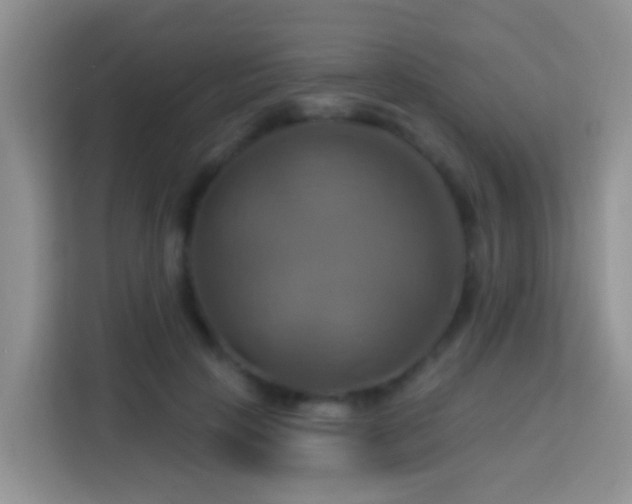 X0000114100649200910051446