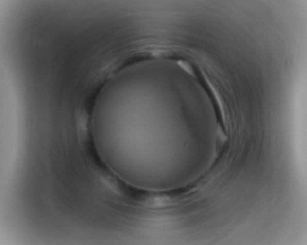 X0000114100650200910051446